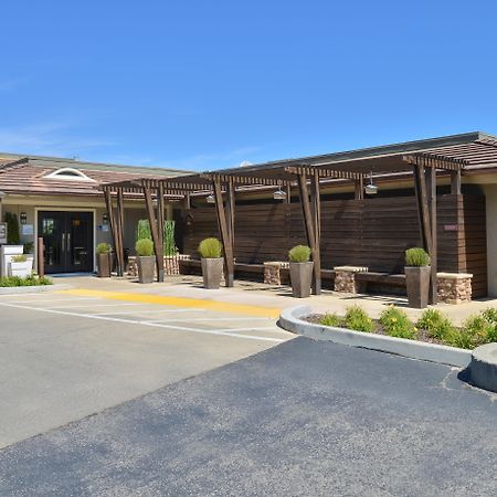 Holiday Inn Express Mill Valley San Francisco Area By Ihg Ngoại thất bức ảnh