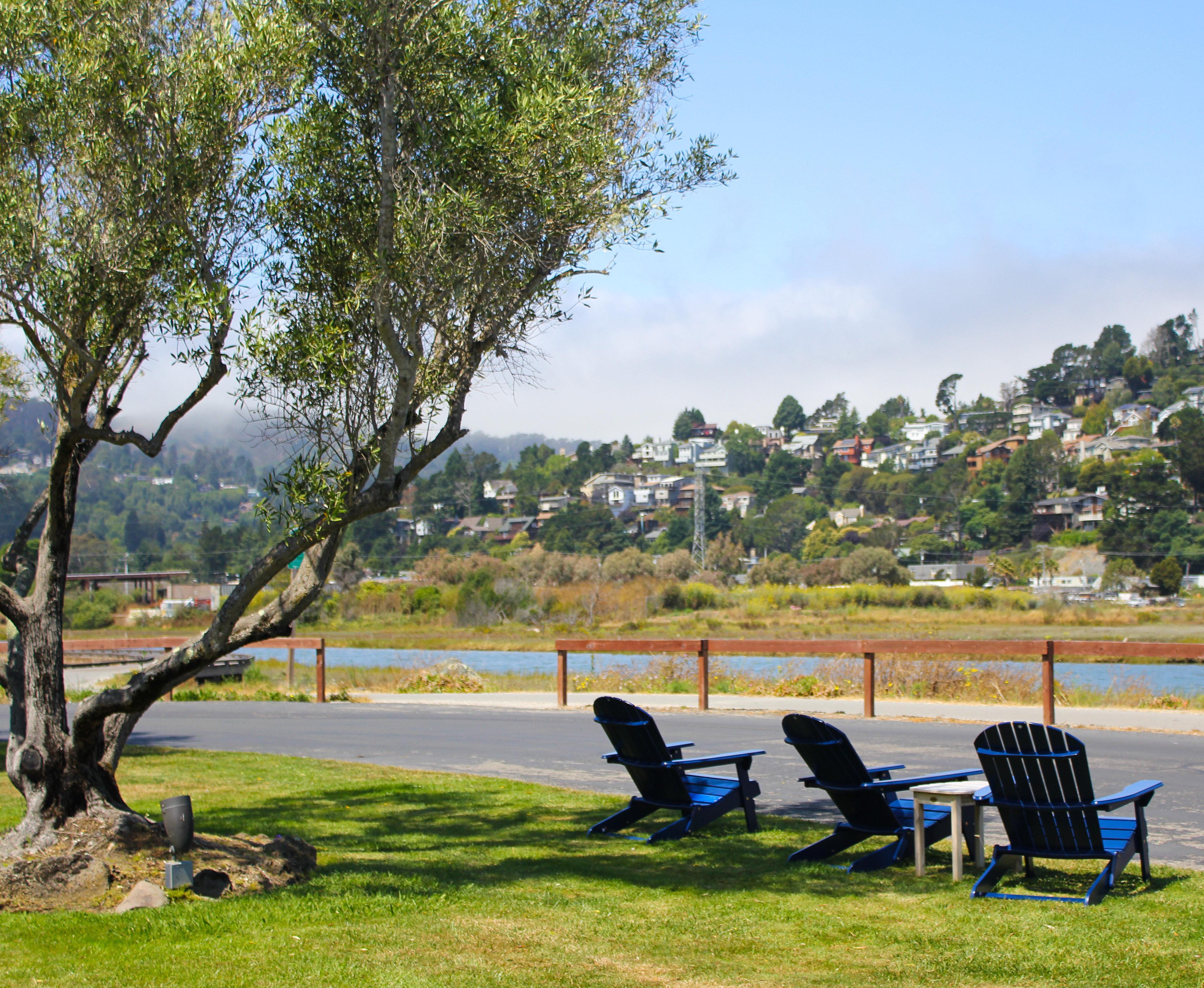 Holiday Inn Express Mill Valley San Francisco Area By Ihg Ngoại thất bức ảnh