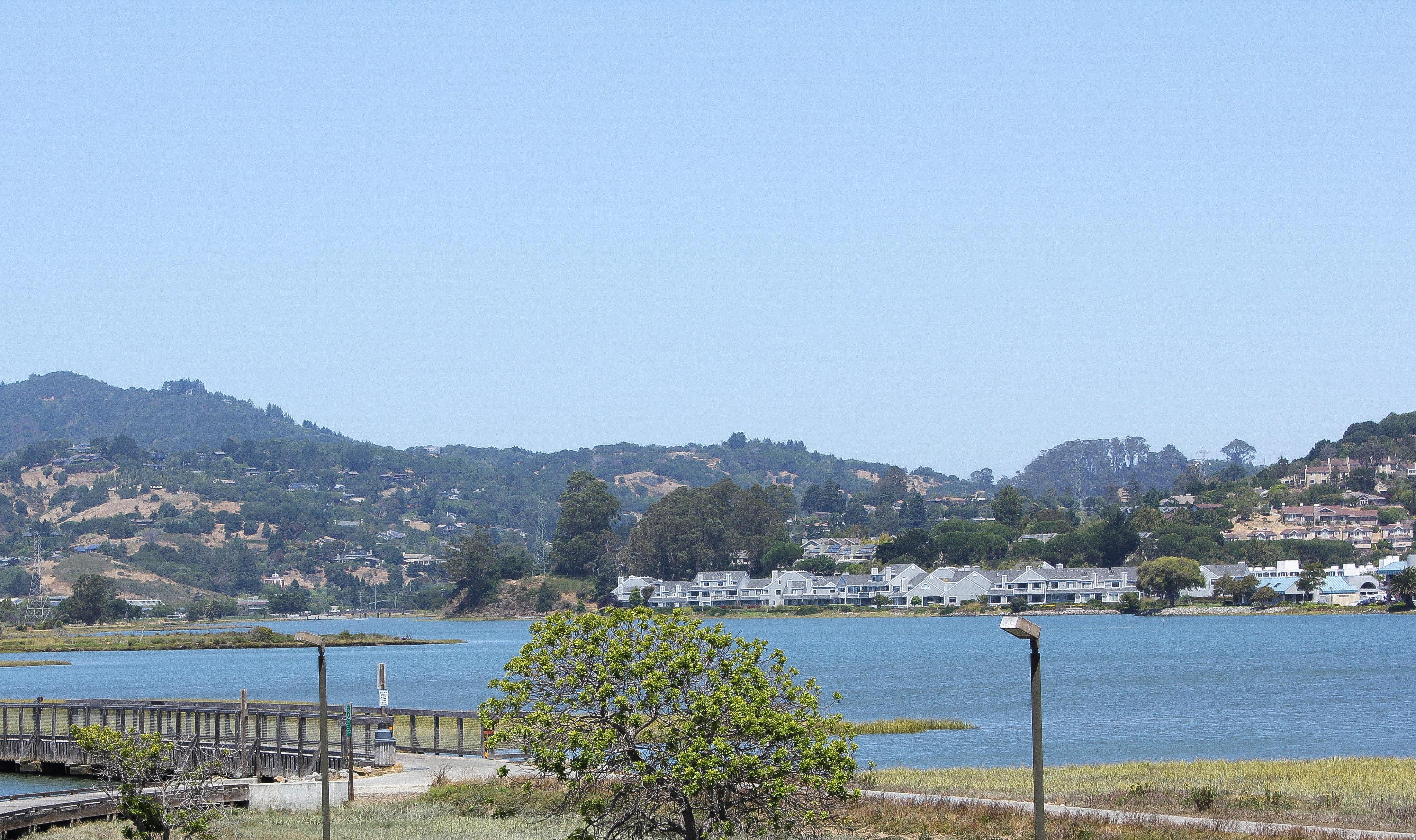 Holiday Inn Express Mill Valley San Francisco Area By Ihg Ngoại thất bức ảnh