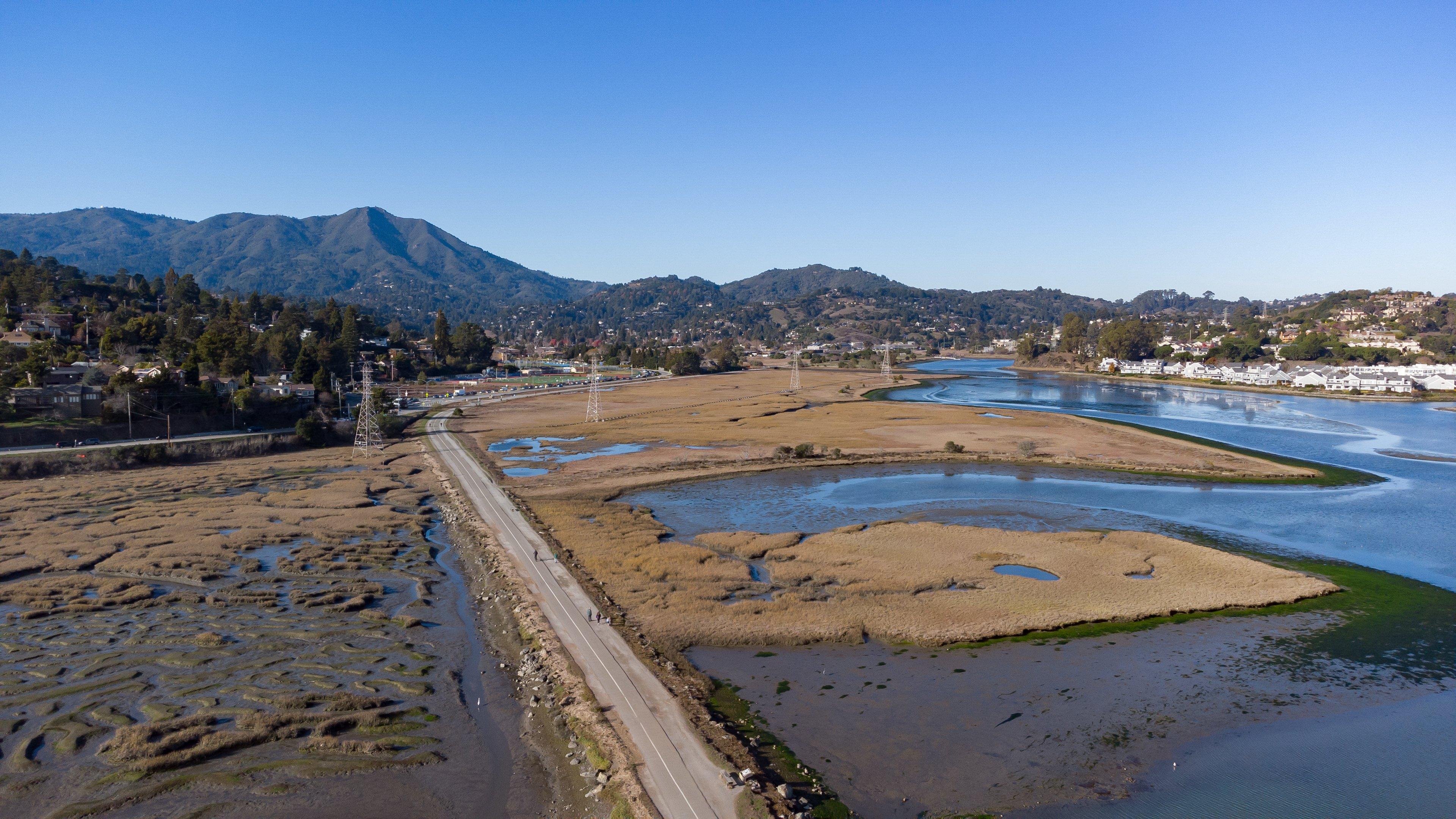 Holiday Inn Express Mill Valley San Francisco Area By Ihg Ngoại thất bức ảnh